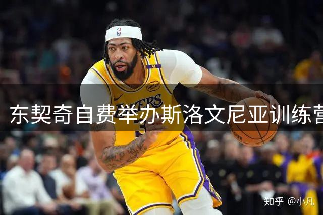 东契奇自费举办斯洛文尼亚训练营 全力备战湖人新赛季